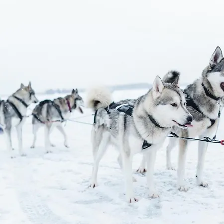 Σπίτι διακοπών House Meritaehti 26