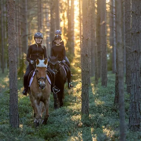 House Meritaehti 26 Сasa de vacaciones