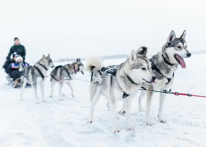 Дом отдыха House Meritaehti 26