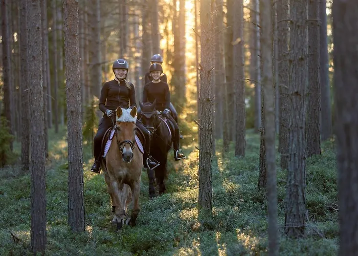 House Meritaehti 26 Дом отдыха